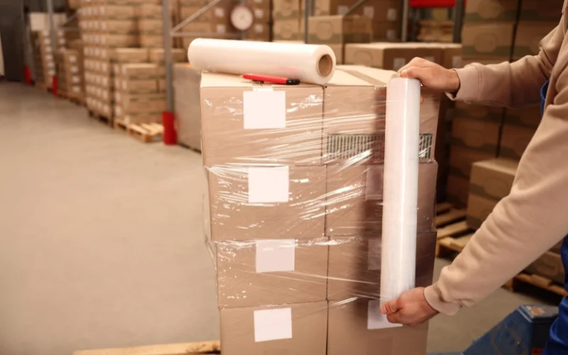 imagem_2024-08-23_114030268